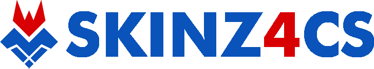 skinz_logo